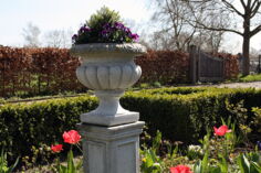 Een nieuwe website voor Buro Binnenveld